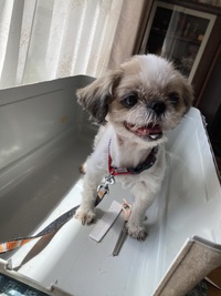 いよいよ 2024/09/19 14:07:02