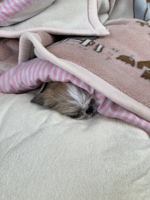 寒い日が続きますね