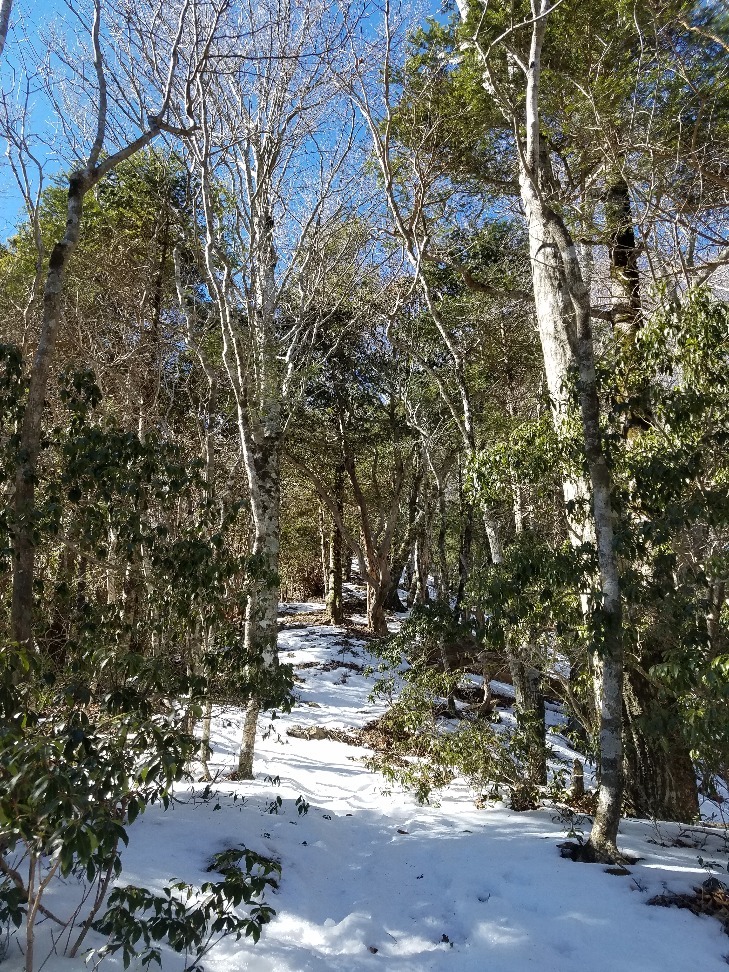 まさかの雪！！