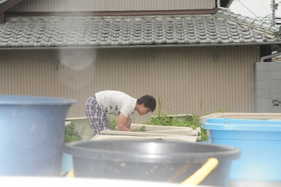 台風の中、第8回メダカ掬い大会!