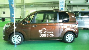 inu