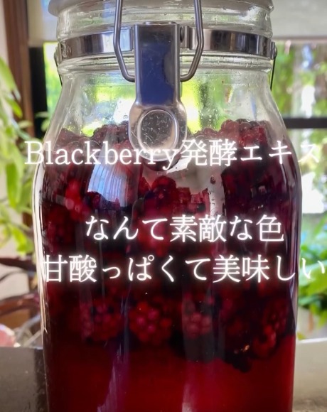 ブラックベリー発酵エキスレッスン