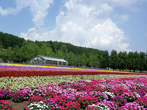 富良野２０１３