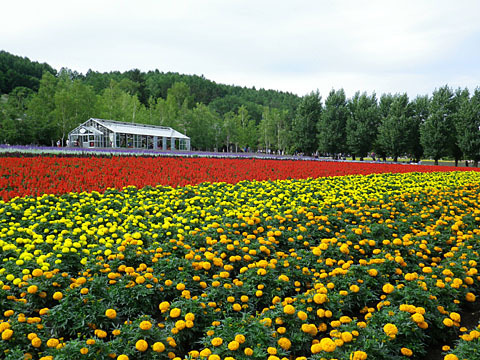 富良野２０１４