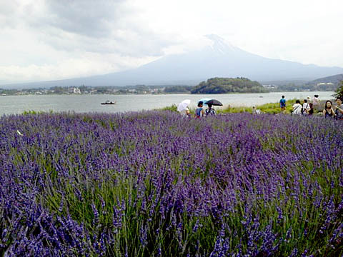 一の宮巡り（その１５：浅間神社）