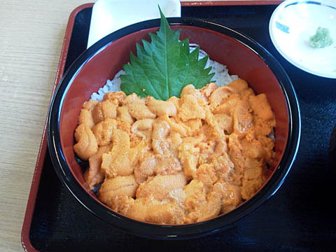積丹半島／「みさき」の赤うに丼