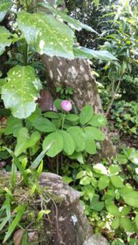 5月9日の記事