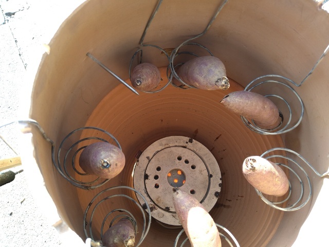 西村農園 焼き芋を販売する…の巻