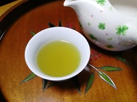 平成28年度 初摘み新茶 完売致しました。