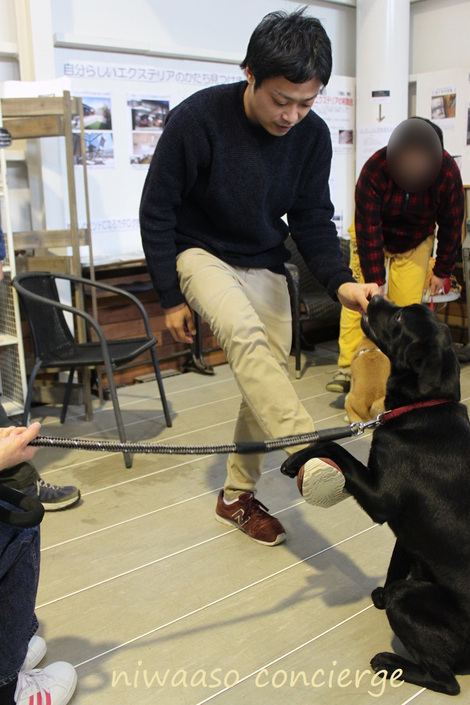 2020年開催!!　【庭あそ】主催の愛犬のしつけ教室、【愛犬と一緒にドッグダンスを踊ろう!!】