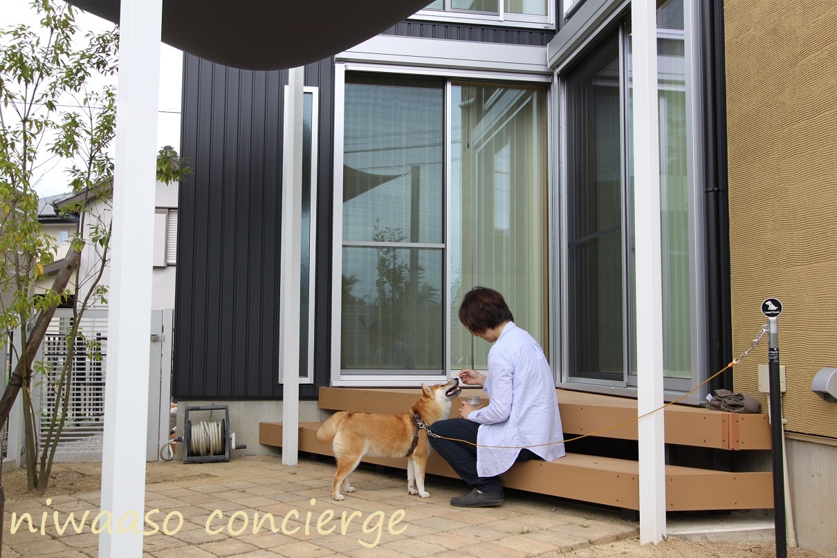 【エクステリア】愛犬に優しいシェードガーデン、取外しできるフックを取り付けて夏の日差しをカットできるお庭!