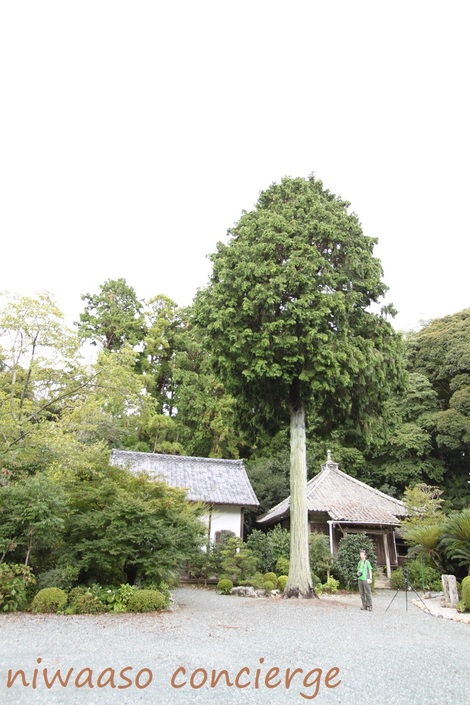 お盆には、西区庄内町にある宿蘆寺で披露される遠州大念仏を見に行ってきた