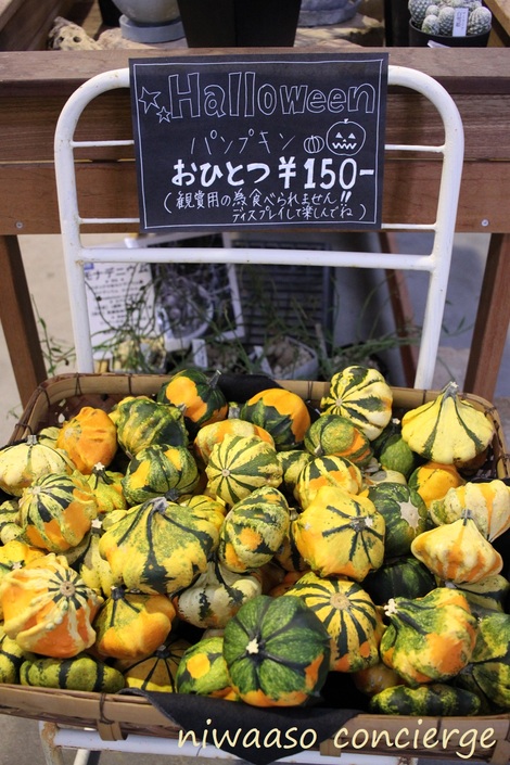 ハロウィーン用飾りカボチャが多数入荷 ハロウィーンまで2週間 パーティにはオススメのミニカボチャ L 庭あそ エクステリア専門店 植物雑貨店