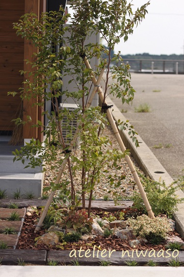 シンプルな外観に合わせて植物が引き立つアプローチ L 庭あそ エクステリア専門店 植物雑貨店