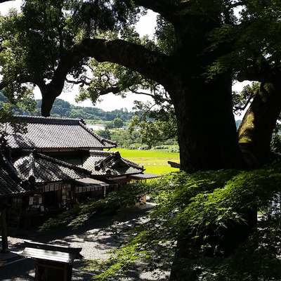 パワー頂きに…事任八幡宮へ