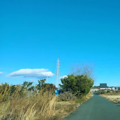 軽やかに走る師走の日々