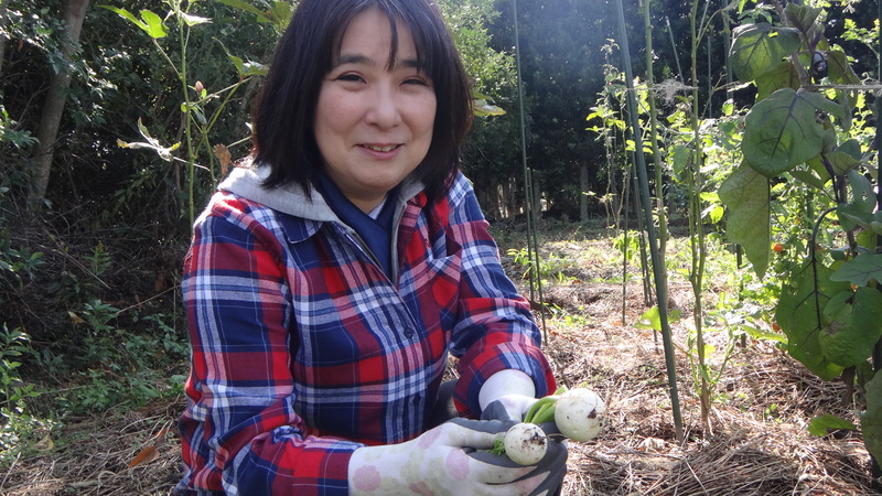 第18回農薬も肥料も使わない家庭菜園教室ニュース
