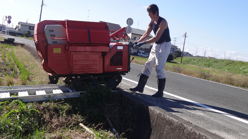 農薬も肥料も使わない家庭菜園教室　田んぼで脱穀