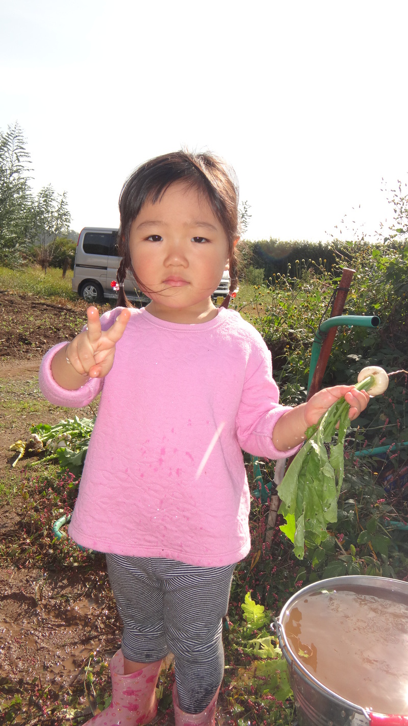 第18回農薬も肥料も使わない家庭菜園教室ニュース