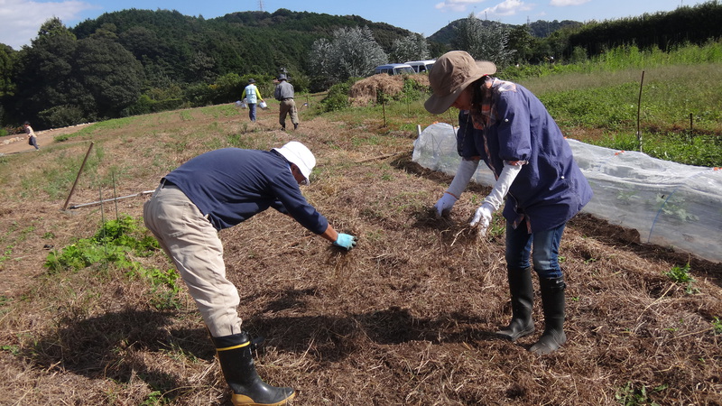 第16回農薬も肥料も使わない家庭菜園教室ニュース