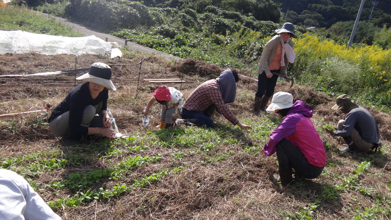 第16回農薬も肥料も使わない家庭菜園教室ニュース