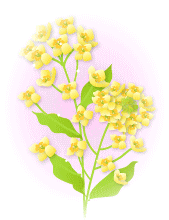 2016年4月オープンクラス 2016/03/31 11:42:25