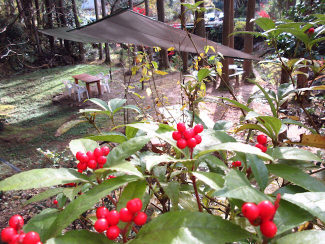 久し振りの「アルフォンソカフェ」