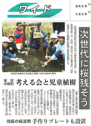 桜　新聞記事