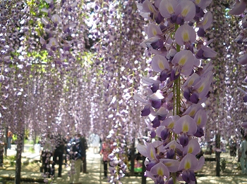 池田の渡し