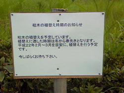 かんばん