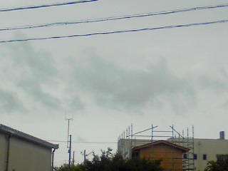 ひまわり（恵の雨）
