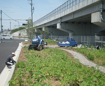 花壇の整備