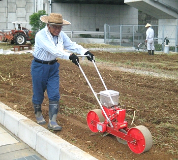 ひまわり　から　コスモスへ