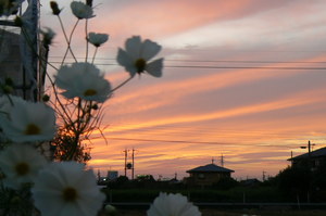 秋は夕暮れ