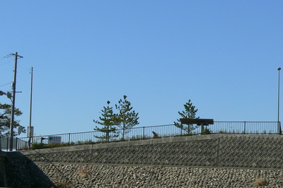 河川敷より