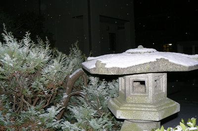 雪です、雪！