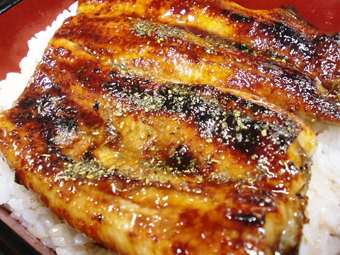 うな重