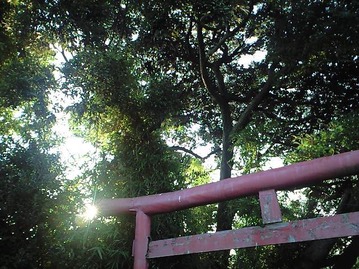 中秋の名月だと？