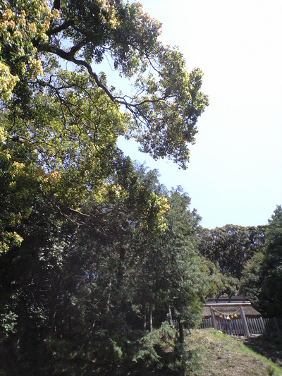 念と想。