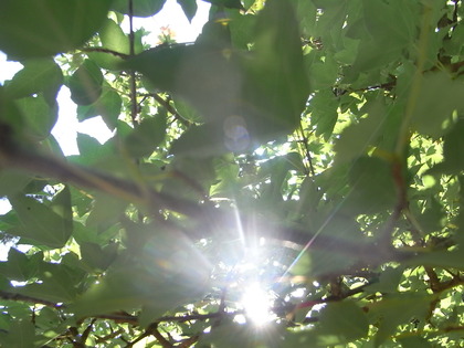 ７月７日。