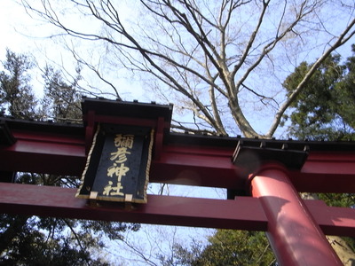彌彦神社へ