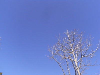 しん・・、しん。