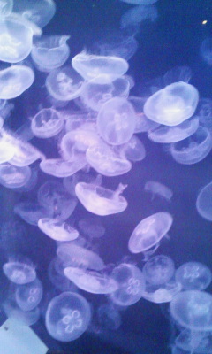 水族館