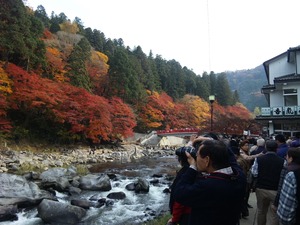 紅葉