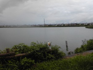 お散歩しました