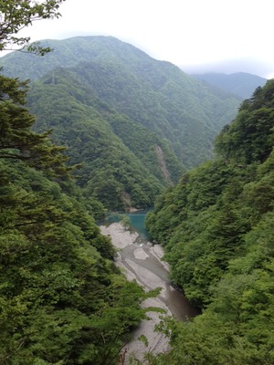 グループ交流