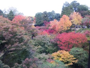 ご無沙汰