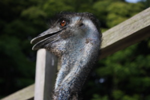 掛川花鳥園