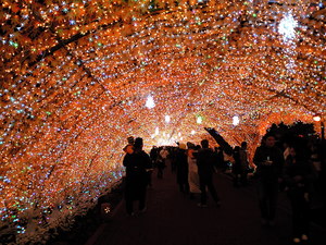 花より…