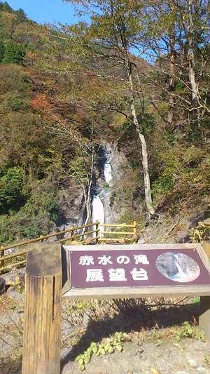 梅ヶ島に行ってきました！